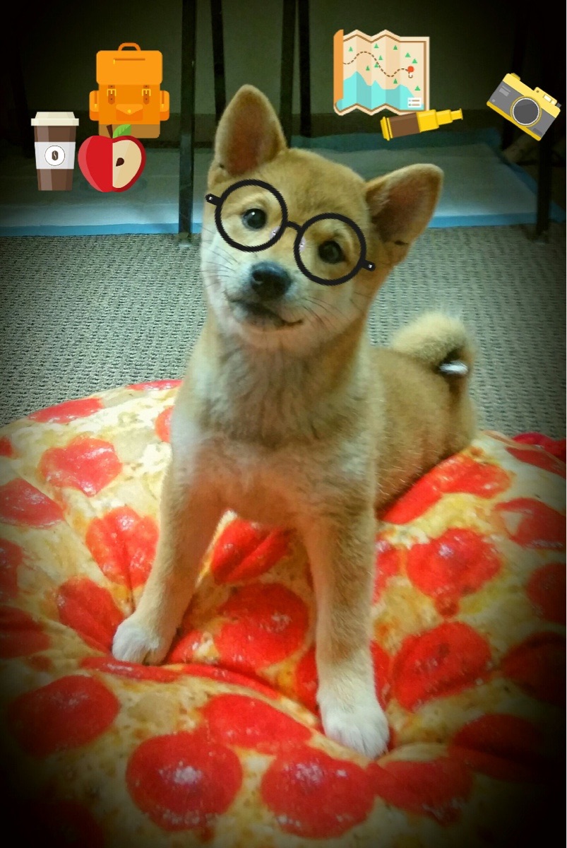 终场哨前的火焰，一个瑞士草根如何让安菲尔德沉默