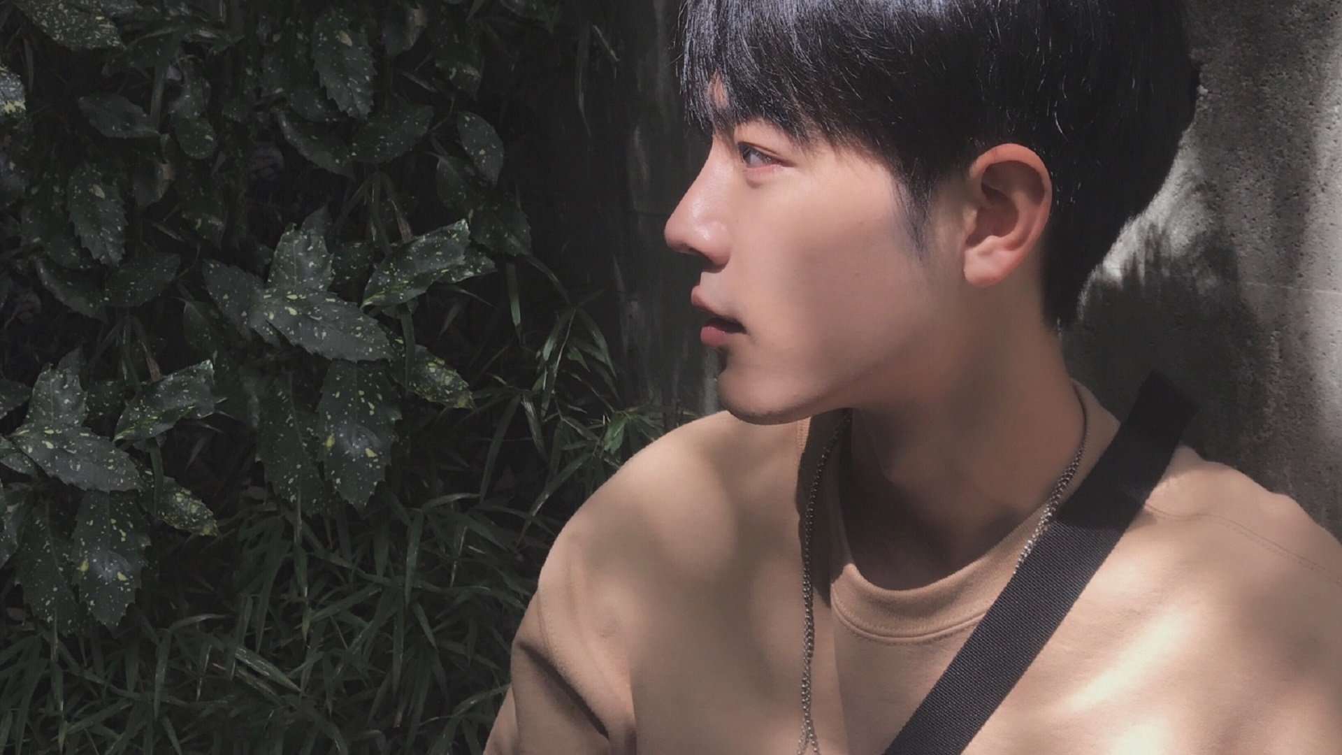 黑天鹅破冰,索伯史诗级胜利背后的中国光芒