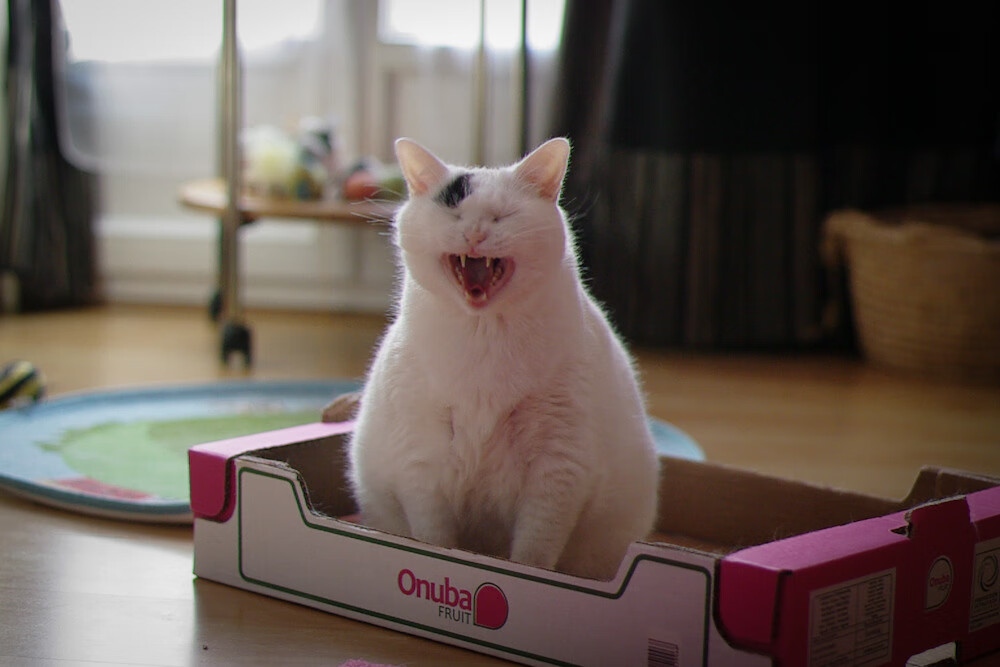 跨越大洋的逆袭，步行者队力克福建，保罗上演状态火热传奇