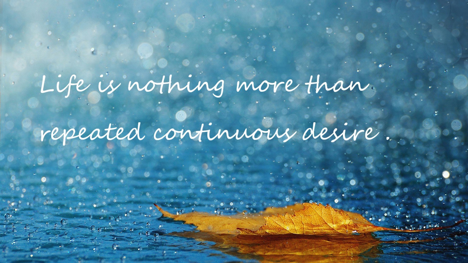 佩雷兹领军法拉利，轻取雷诺车队夺冠