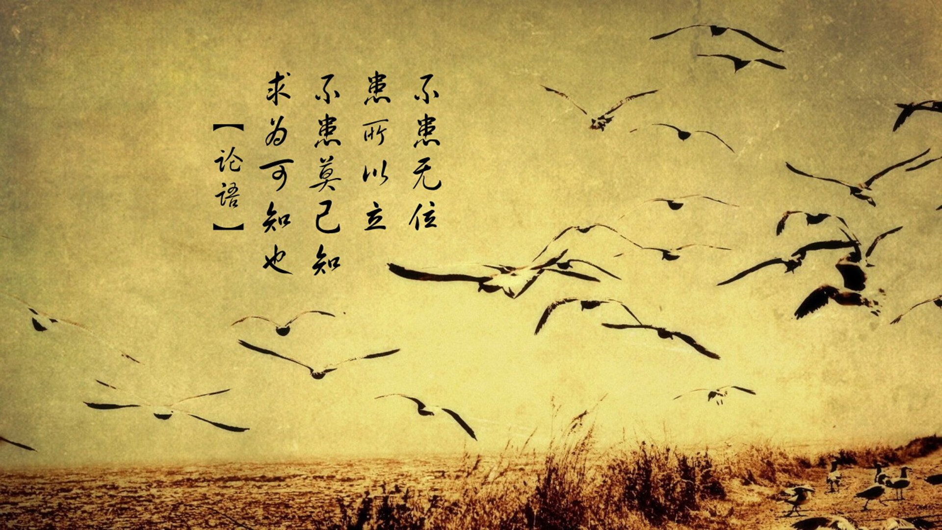 一人爆裂破云天，铁锁横江镇金州—爱德华兹的野蛮生长与凯尔特人的防守哲学