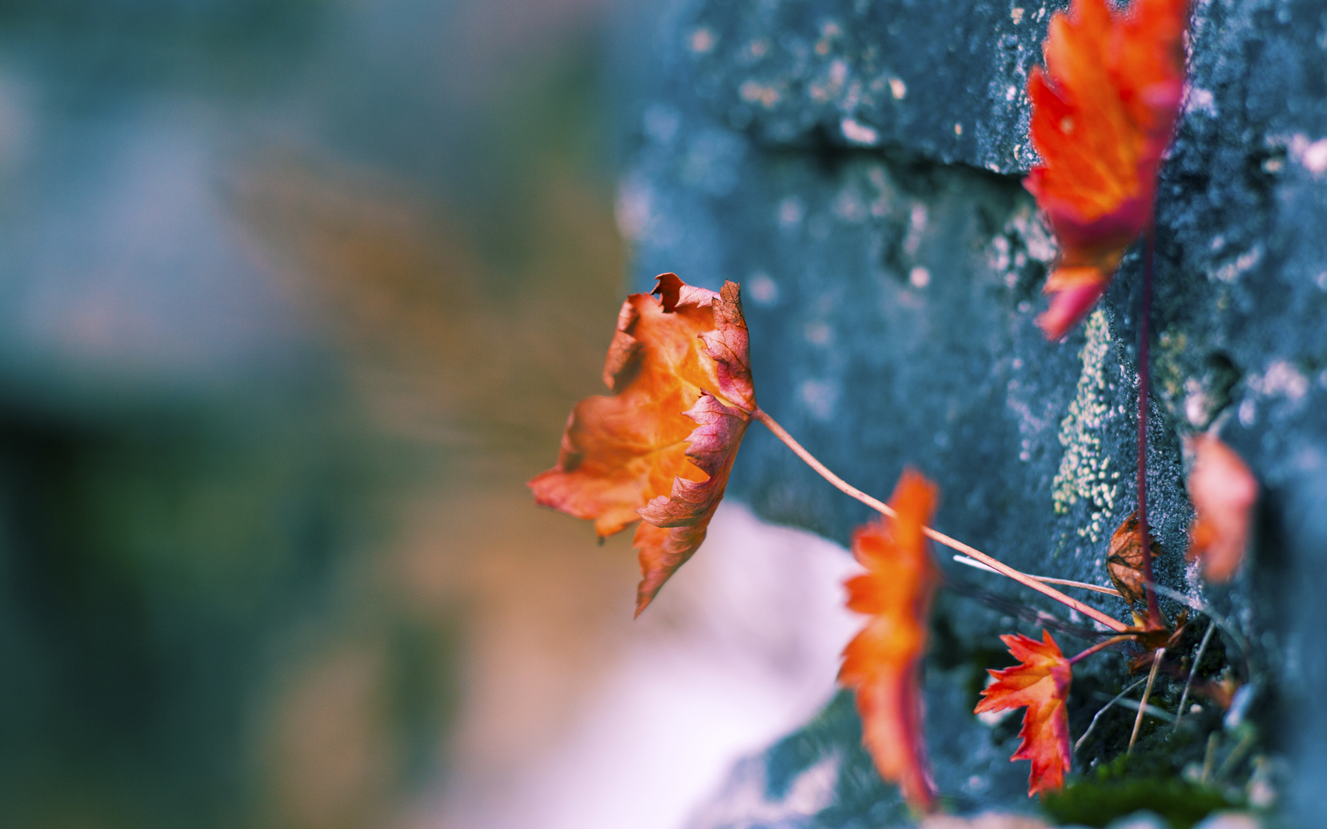 爱游戏APP-异类盛宴，NBA总决赛之夜与梅西的伟大公式