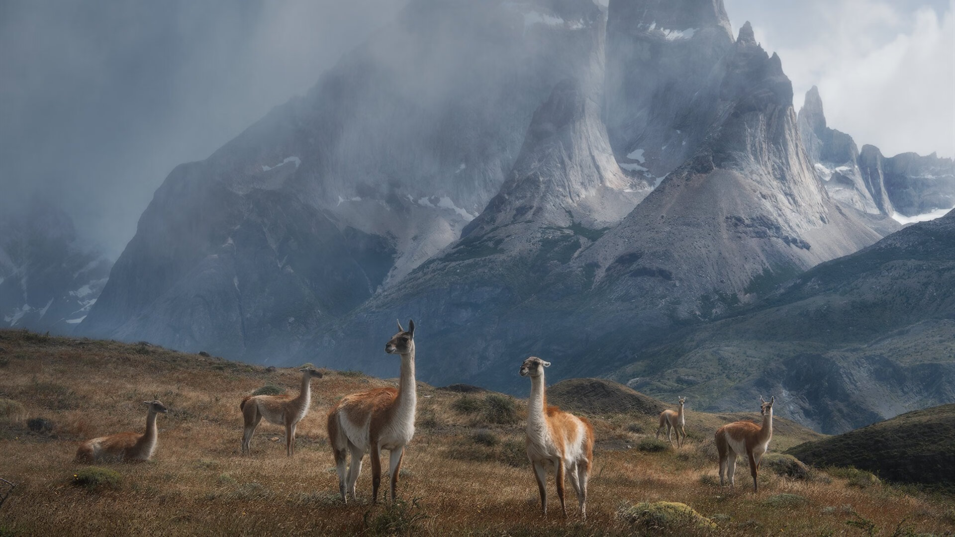 爱游戏官方入口-赛道与绿茵的双重狂飙，F1揭幕战激情点燃，尼斯队强势粉碎加纳挑战