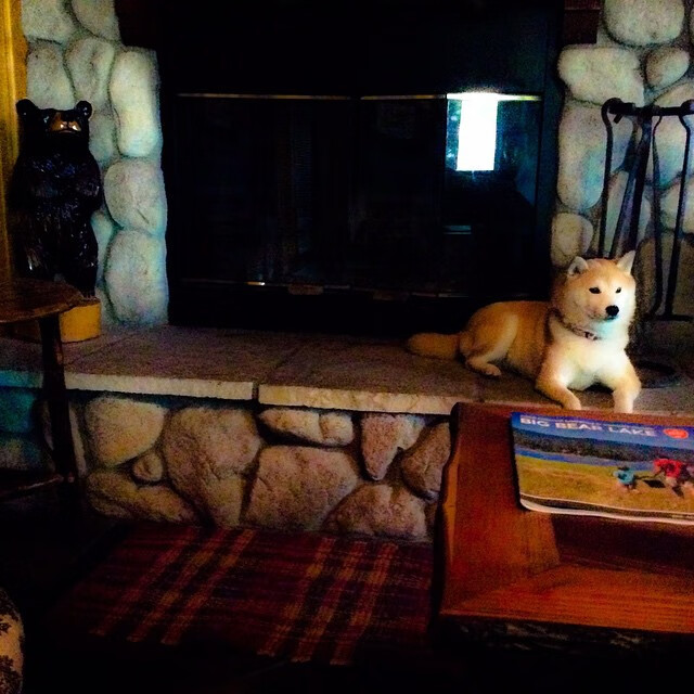 爱游戏官方-双线争锋，曼联强行终结马赛，格纳布里西部生死战接管比赛