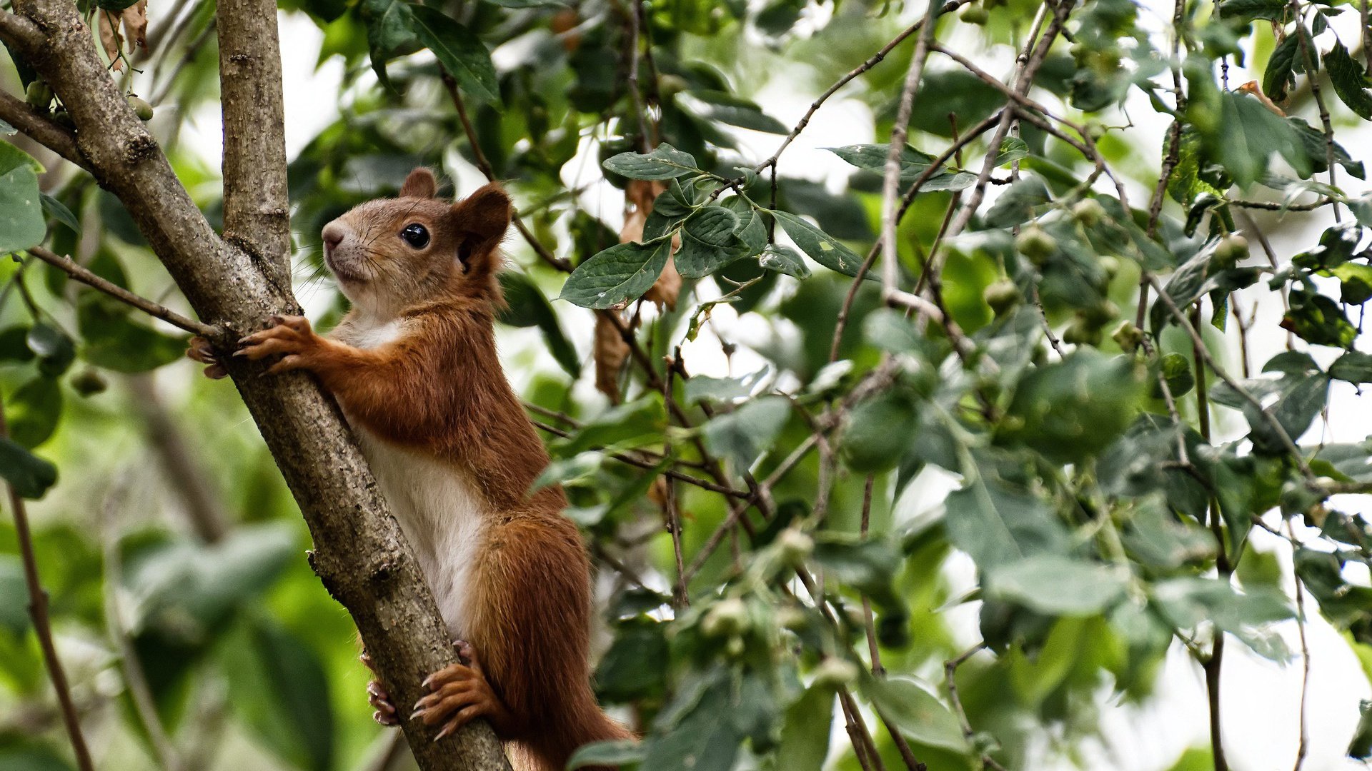 从文班亚马的单场奇迹到热火的团队铁壁,现代篮球的双重奏鸣