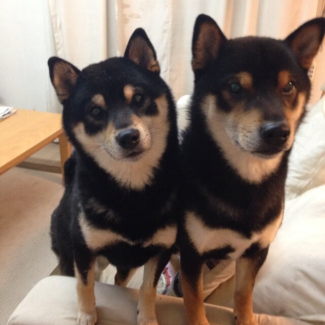 特奥一剑封喉，荷兰收割瑞典的北欧夜晚