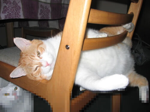 双线救赎,国家使命与个人巅峰的交响