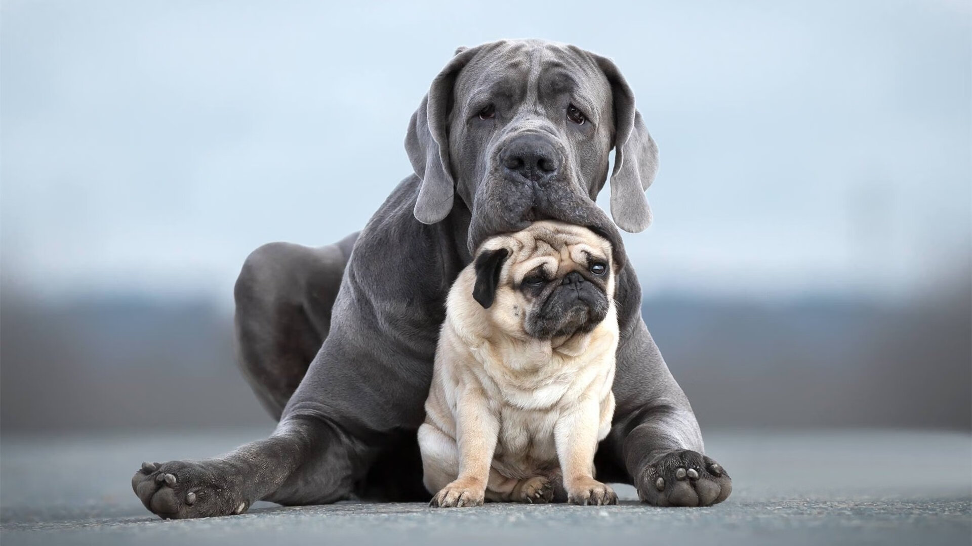 绿茵艺术，当法比尼奥的防守交响乐在尤文对阵哥伦比亚的虚构夜晚奏响