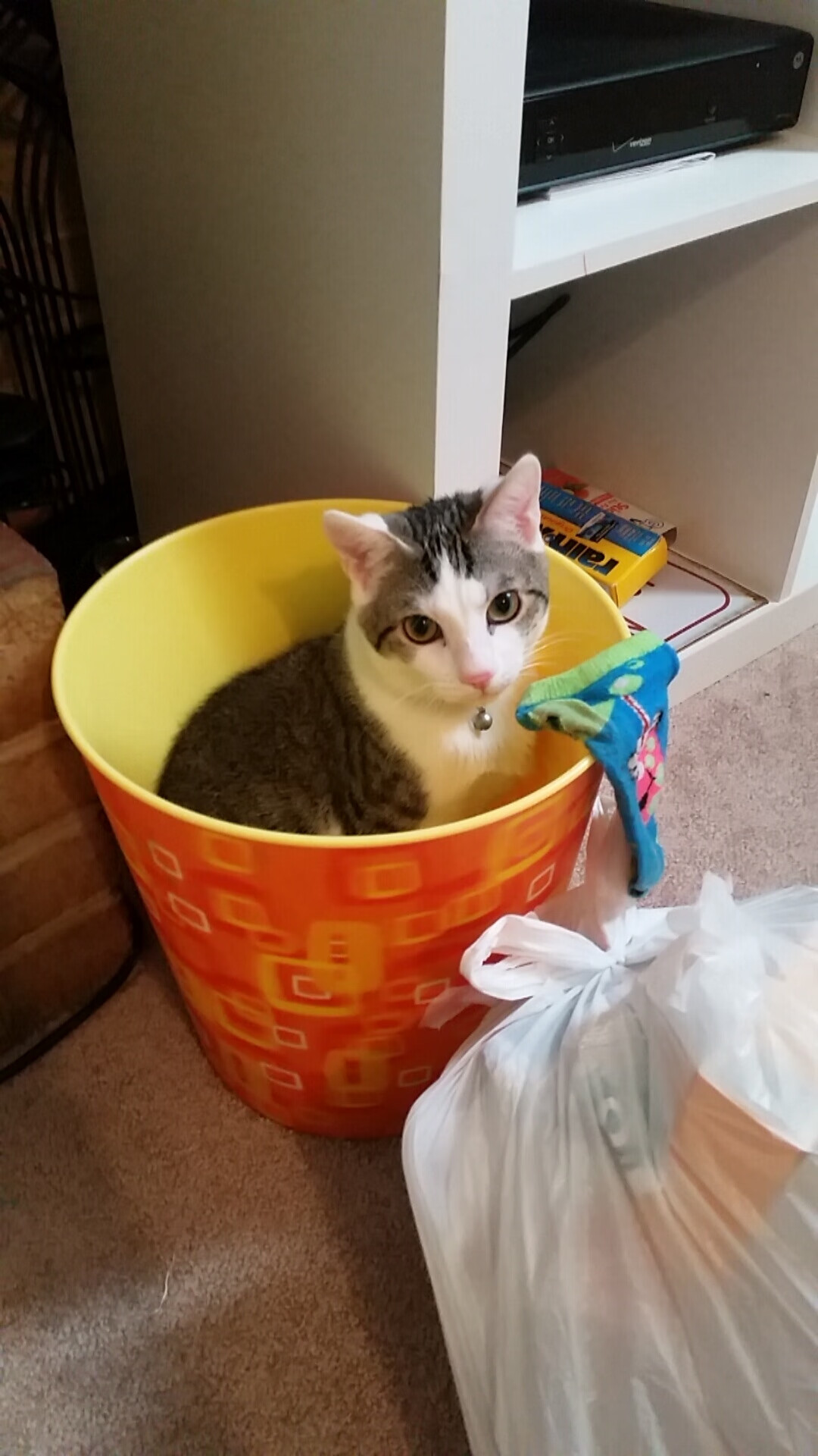 闪电撕裂防线的夜晚，马丁内利与乌克兰的完美交响