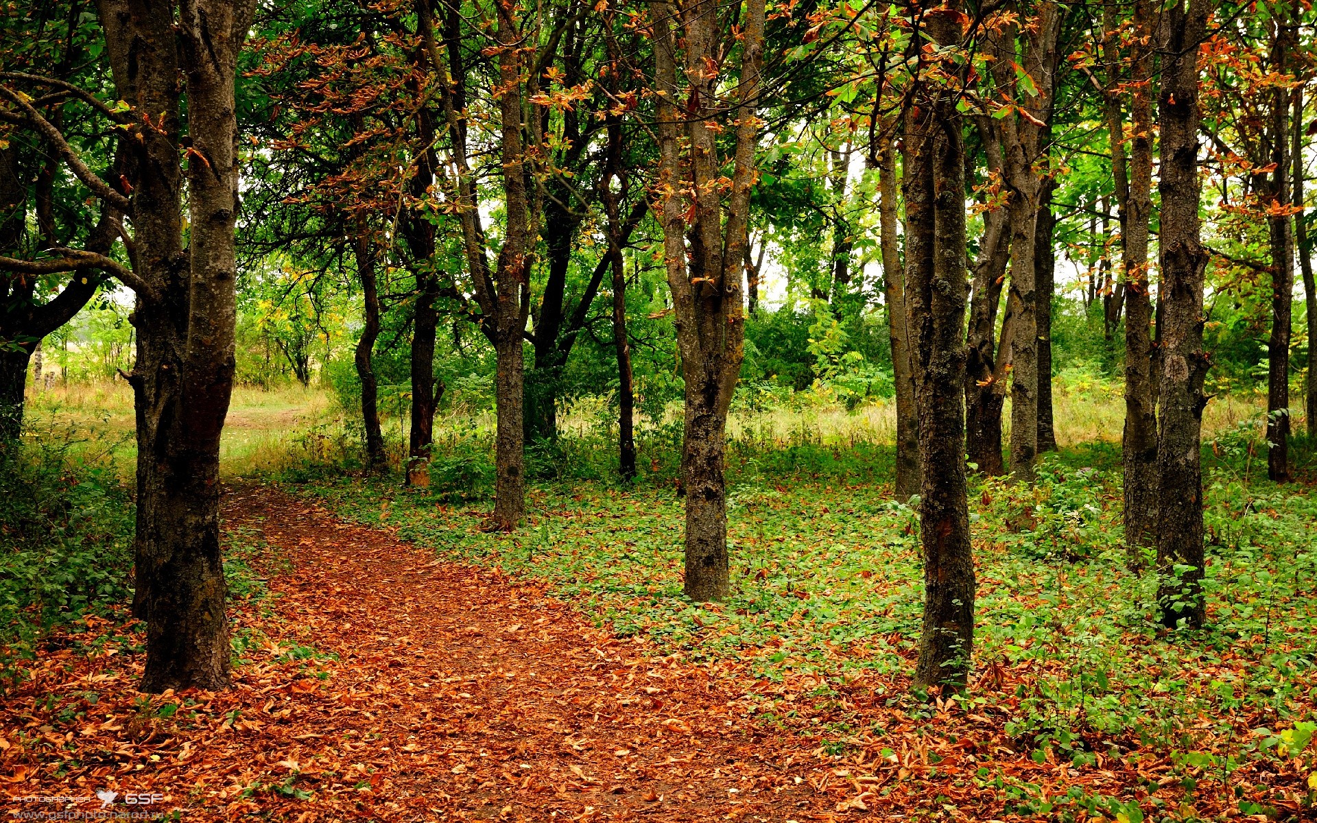 爱游戏在线-伊萨克，在老特拉福德的暗夜中，一个存在的幽灵与一则胜利的启示