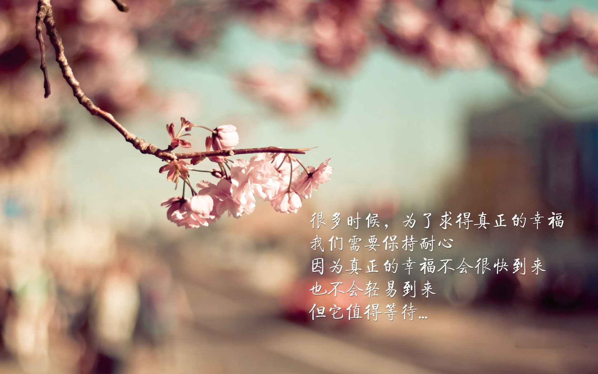 2026世界杯E组暗战，久保建英导演加纳之殇，葡萄牙的亚洲之眼如何破局