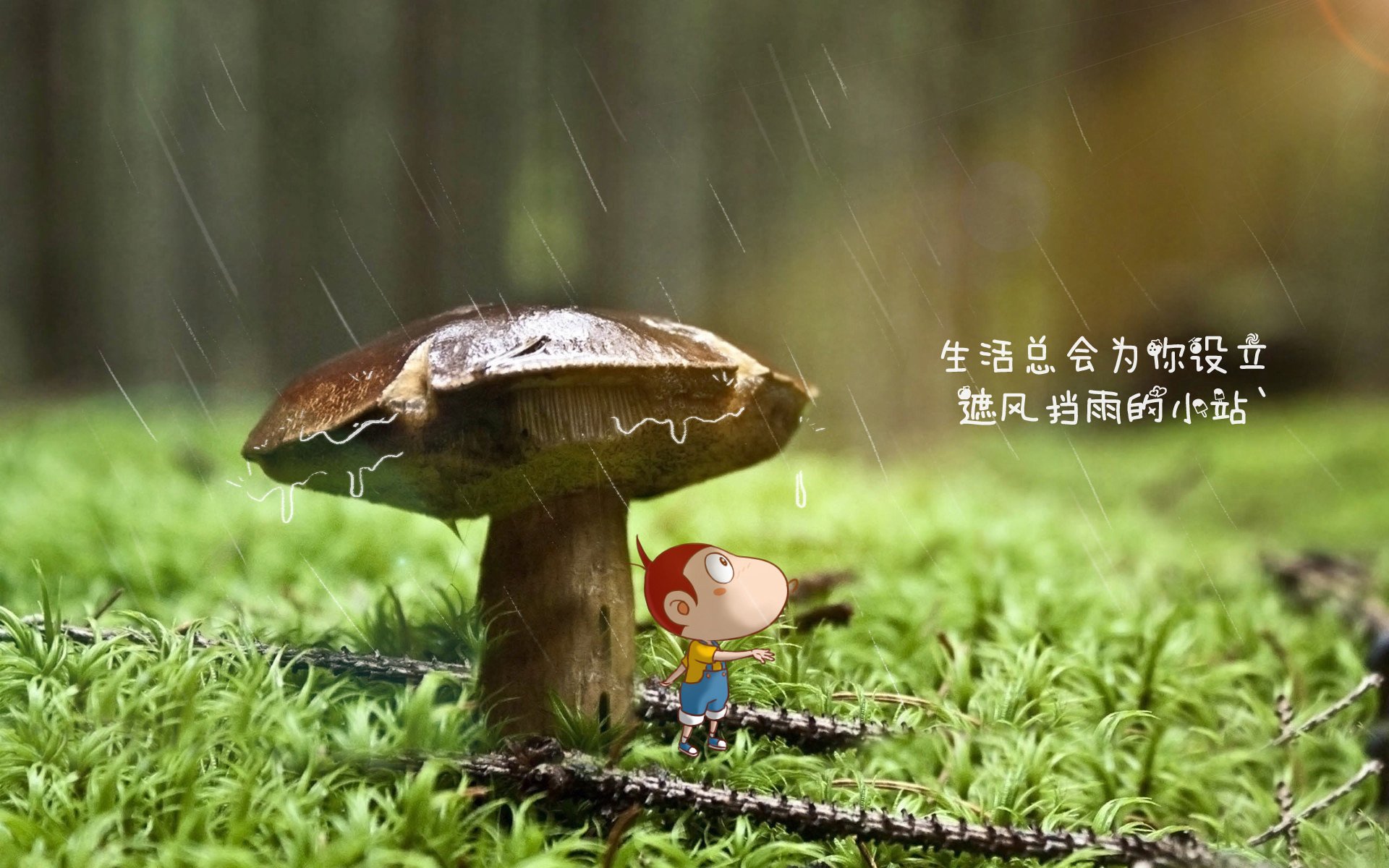 爱游戏APP-沙漠旋风与东欧铁骑的碰撞，当努涅斯的光芒刺穿2026世界杯B组的钢铁防线